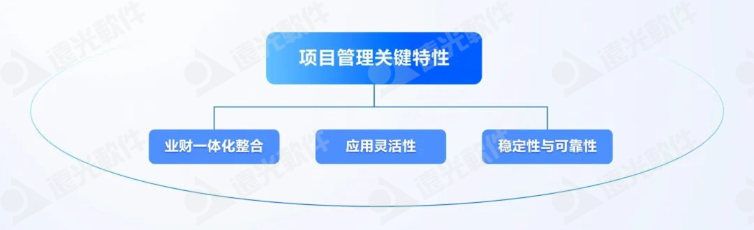 DAP专题 | 项目管理：集团企业的高效运营引擎