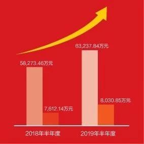 一图看懂美高梅mgm软件2019年半年报