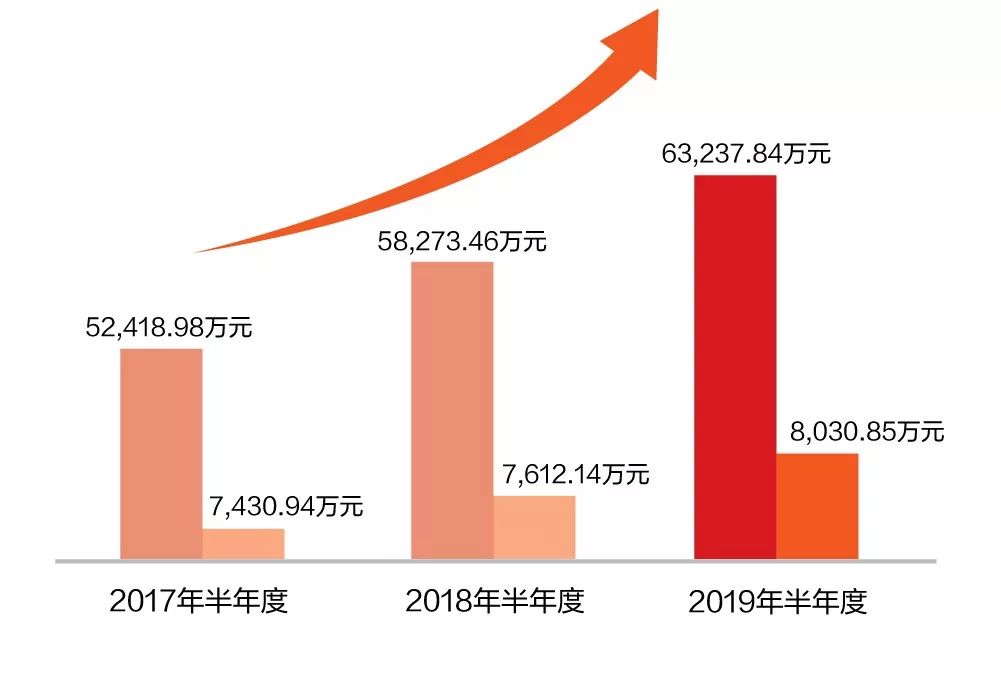 一图看懂美高梅mgm软件2019年半年报